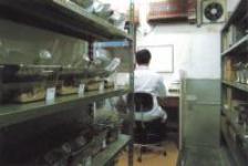 Ongoing research with mice at Reimei Laboratory.