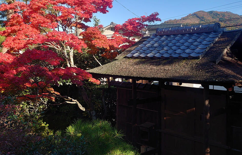 If you are interested, please contact us here.